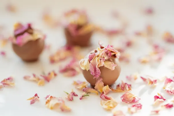 88Goals Casino Application Android/iOS